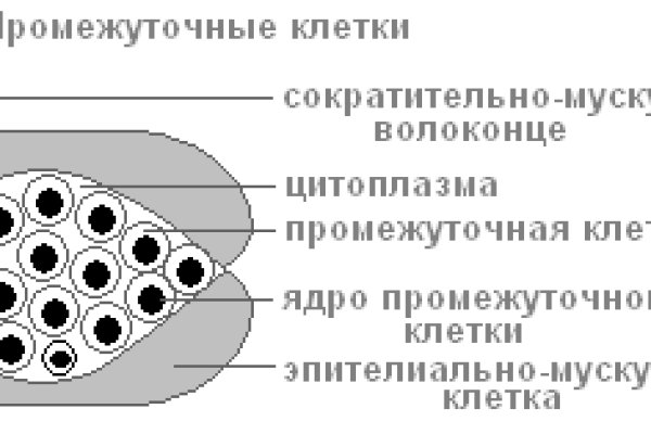 Кракен маркет зеркало