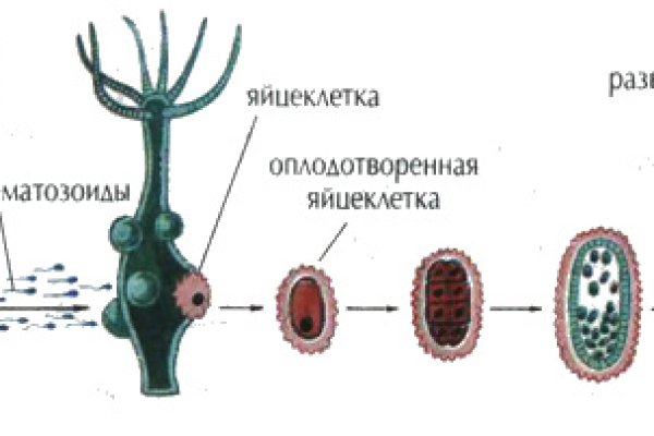 Кракен сайт даркнет маркет