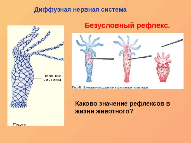 Переход на кракен