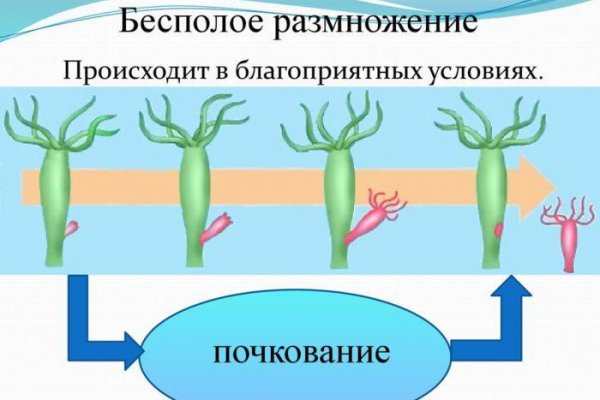 Кракен ссылка онион зеркало