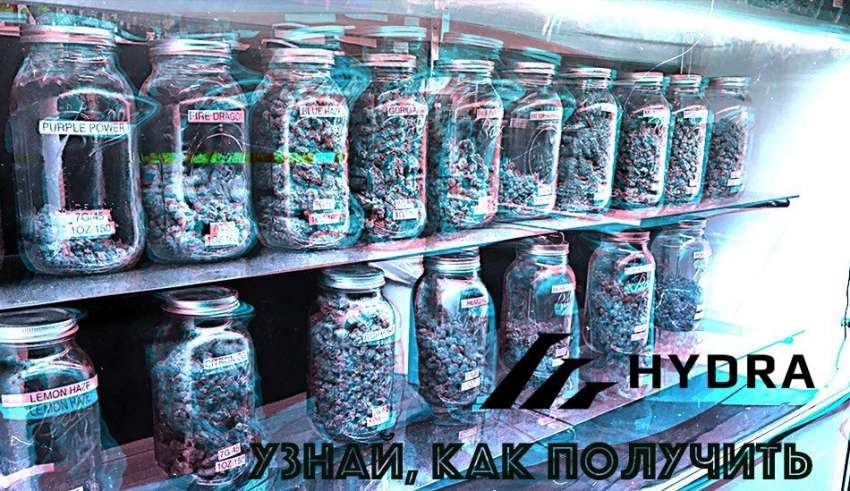 Ссылка на кракен 11