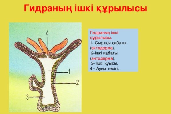 Кракен ссылка маркет пв